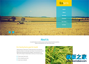 金色麥田大氣響應式農產品網頁模板