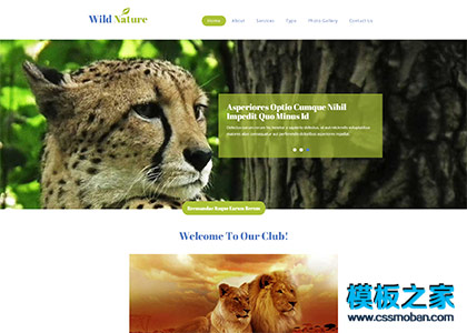 綠色簡潔野生動物園官網企業模板