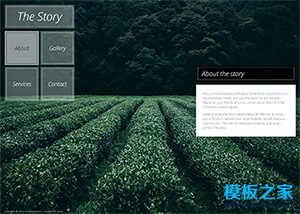 綠色全屏茶園仿flash交互企業網站模板