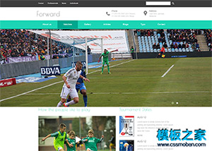 足球运动专题整站模板下载