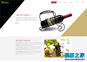 红酒专卖店宽屏设计公司网页模板
