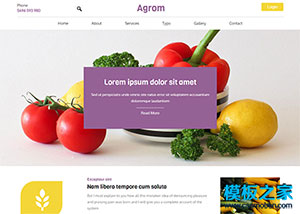 紫色漂亮蔬菜水果O2O网店网站模板