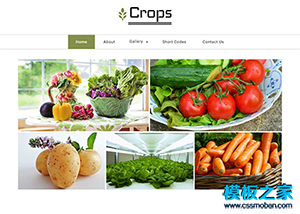 綠色簡潔生鮮超市響應式企業網站模板