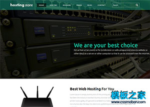 扁平化主機host服務提供商網站模板