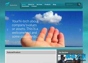 藍綠色軟件開發公司網站模板