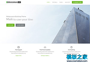 Bravana軟件開發公司響應式官網整站模板