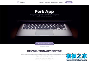 Fork App編程軟件工具官網響應式模板