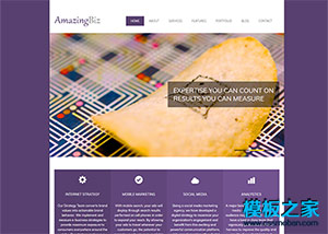 紫色簡潔標準商務整站企業網站模板