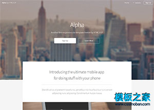 Alpha寬屏博客響應式模板網站