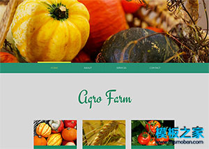 自適應農業蔬菜水果網站模板