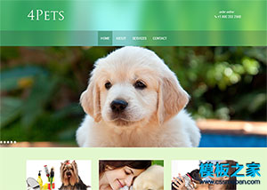 綠色寬屏寵物dog樂園網站模板