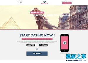 love app應用交友婚戀網站模板