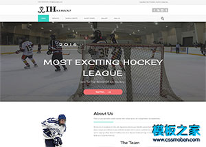大气冰上曲棍球竞技运动网页模板