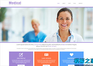 紫色醫療器械外貿公司網站模板