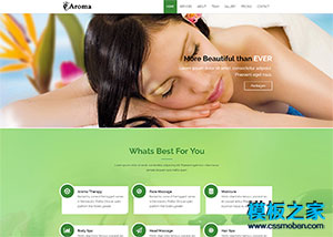 绿色美容养生spa响应式网站模板