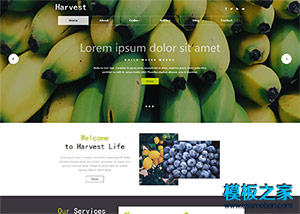 扁平化水果购物大图响应式网站模板