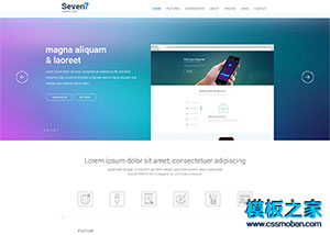 seven7大图幻灯漂亮互联网企业模板
