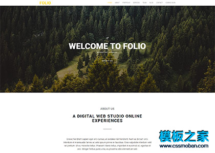 FOLIO宽屏互联网设计公司展示单页模板