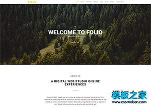 FOLIO寬屏互聯網設計公司展示單頁模板