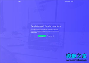 紫色Framework前端程序员开发网站模板