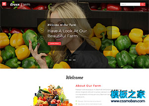 綠色蔬菜水果直銷網網頁模板
