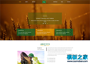 乡村旅游农家乐开发企业网站模板