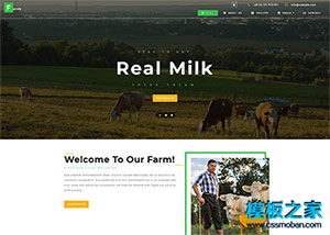綠色高山奶牛農場響應式企業模板