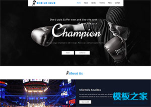 拳击比赛俱乐部网页模板