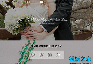 WEDDING婚紗照展示網站模板