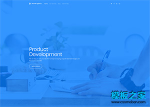 藍色大氣背景Development開發者網頁模板