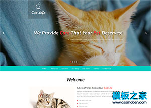 貓咪萌寵物樂園專業網站模板