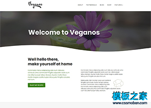 Veganos食品食谱美食博客WordPress模板