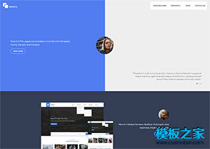 蓝色极简小清新Development开发者官网模板