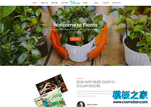 園藝師鮮花網店企業網站模板