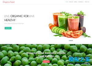 健康有機蔬菜果汁店網站模板