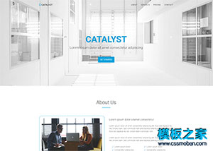 Catalyst家政清洁服务收费表网站模板