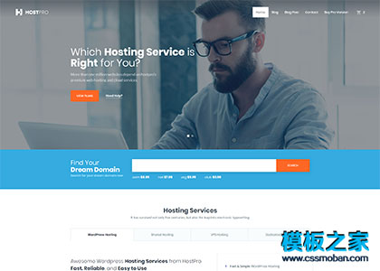 Host域名主机服务商商务企业网站模板