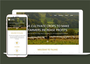 農業耕作響應式網站單頁面HTML5模板