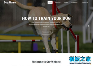 寵物狗醫院整站html5網站模板