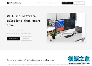 software软件开发公司网站模板