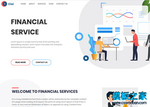 寬屏漂亮金融服務公司響應式網站模板