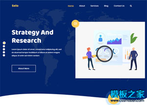 Seo数据分析营销团队企业官网模板