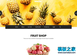 FRUIT SHOP水果商店响应式网站模板