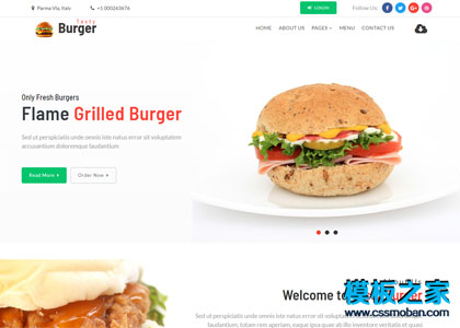 汉堡炸鸡翅快餐加盟店网站模板