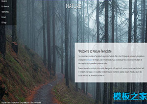 Nature自然森林风光css单页响应式模板