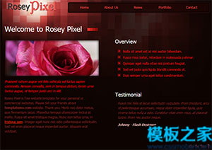 rosey深红色背景优雅单页主题网站模板