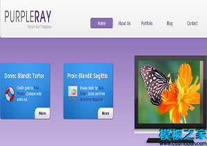 purple ray紫罗兰页眉页尾设计精美网站模板
