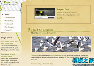 paper綠葉藝術品裝飾標準布局網站模板