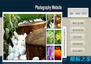 gallery深蓝色图片库摄影网站布局网站模板