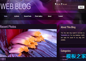 web blog酷炫大氣精致博客主題網站模板